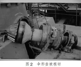 泰興減速機(jī),減速機(jī),泰興減速機(jī)廠,江蘇泰強(qiáng)減速機(jī)有限公司